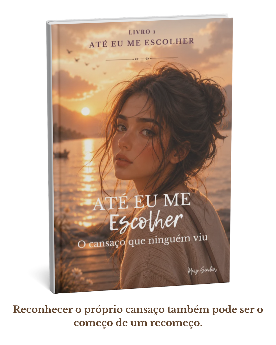 Home 11 livro 1 1
