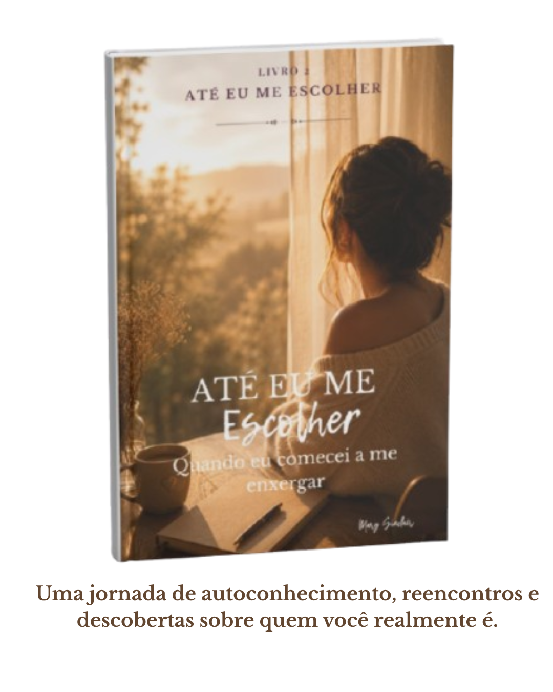 Home 12 livro 2