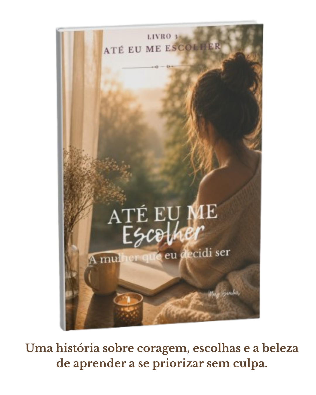 Home 13 livro 3